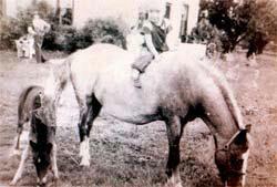 Reade Baker at 2 years old riding a pony. (Courtesy of Janis Maine)